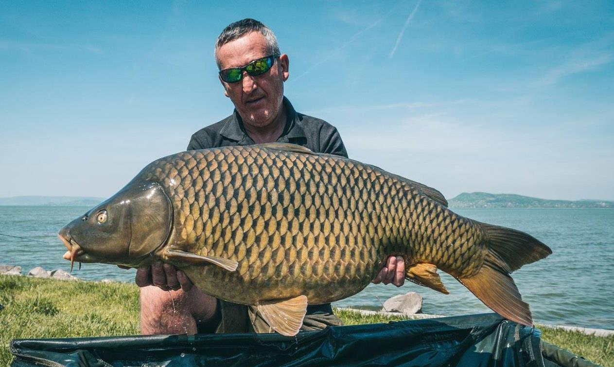 IBCC 2019 IN TRANSMISIE LIVE LA FISHING & HUNTING CHANNEL